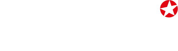 DAVID STERN Logo